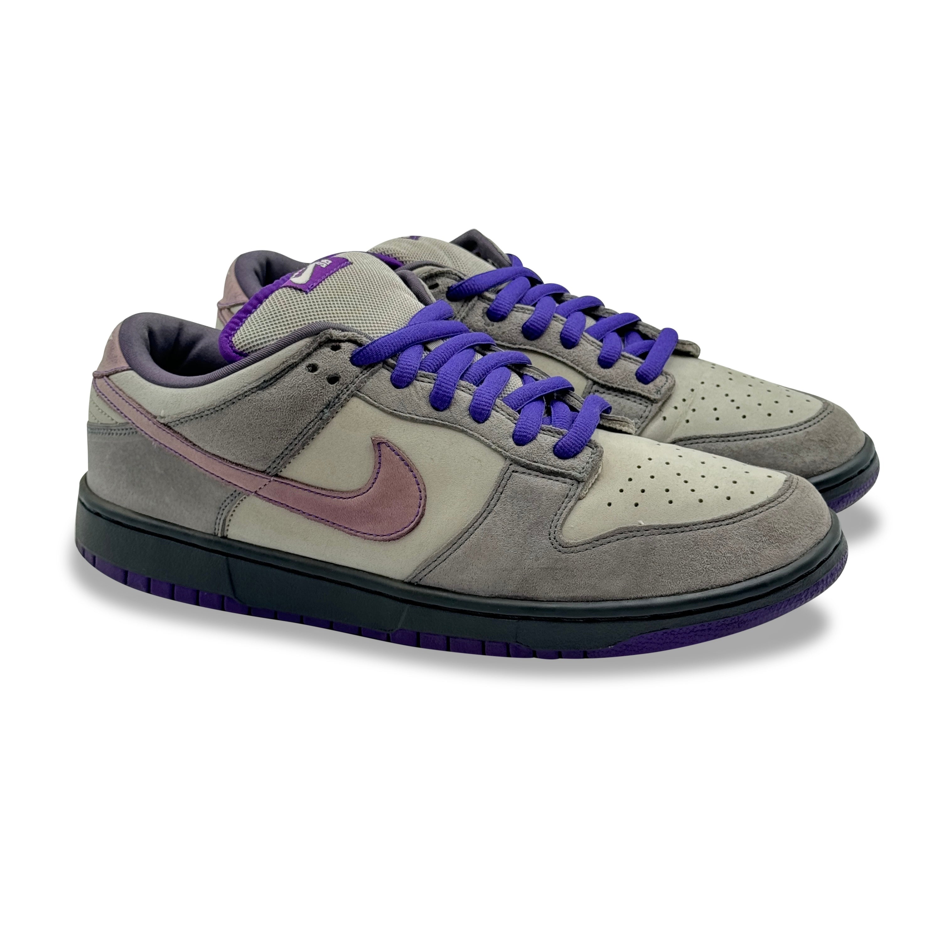 purple pigeon nike sb
