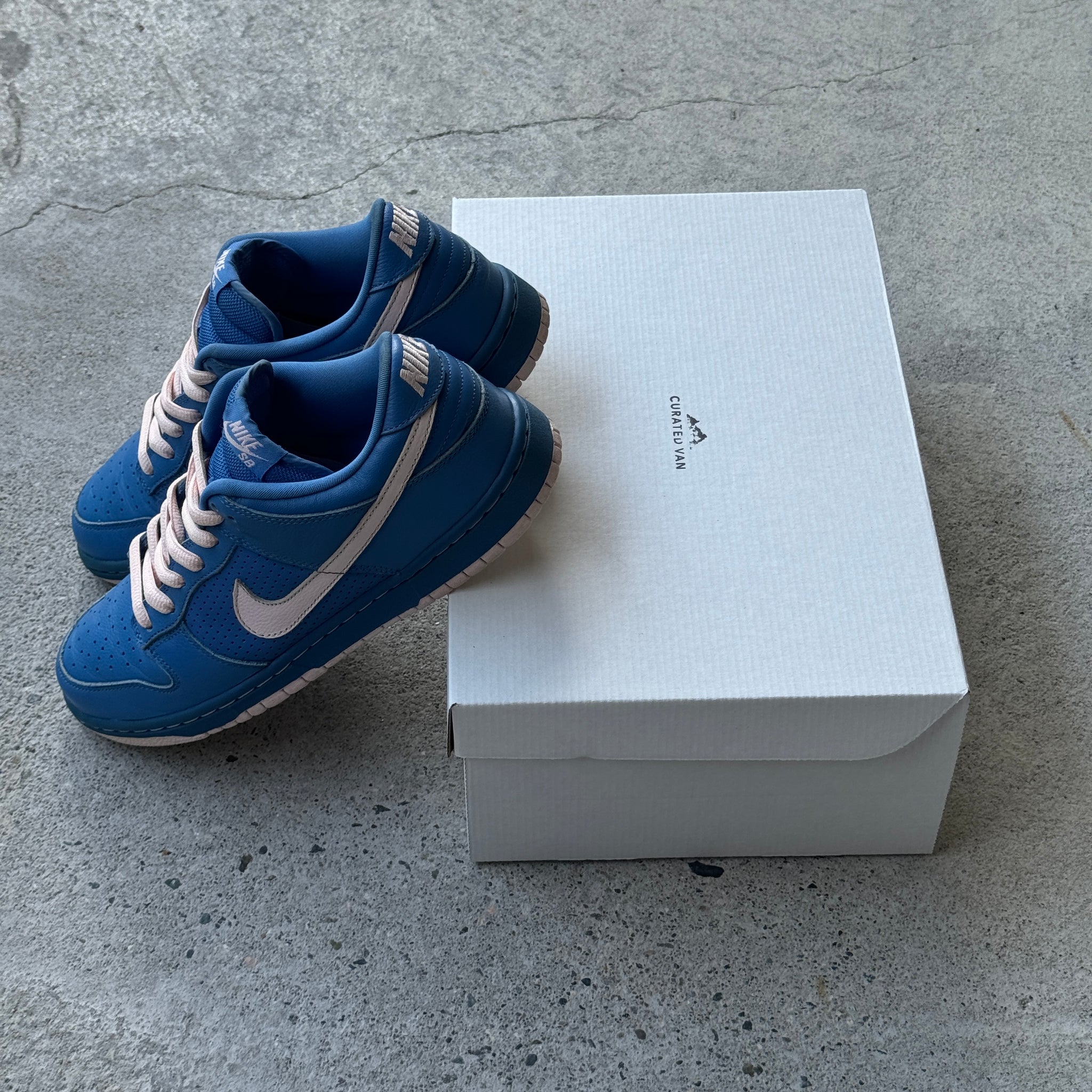 10 US - NIKE SB DUNK LOW VARSITY BLUE PINK ICE 2009