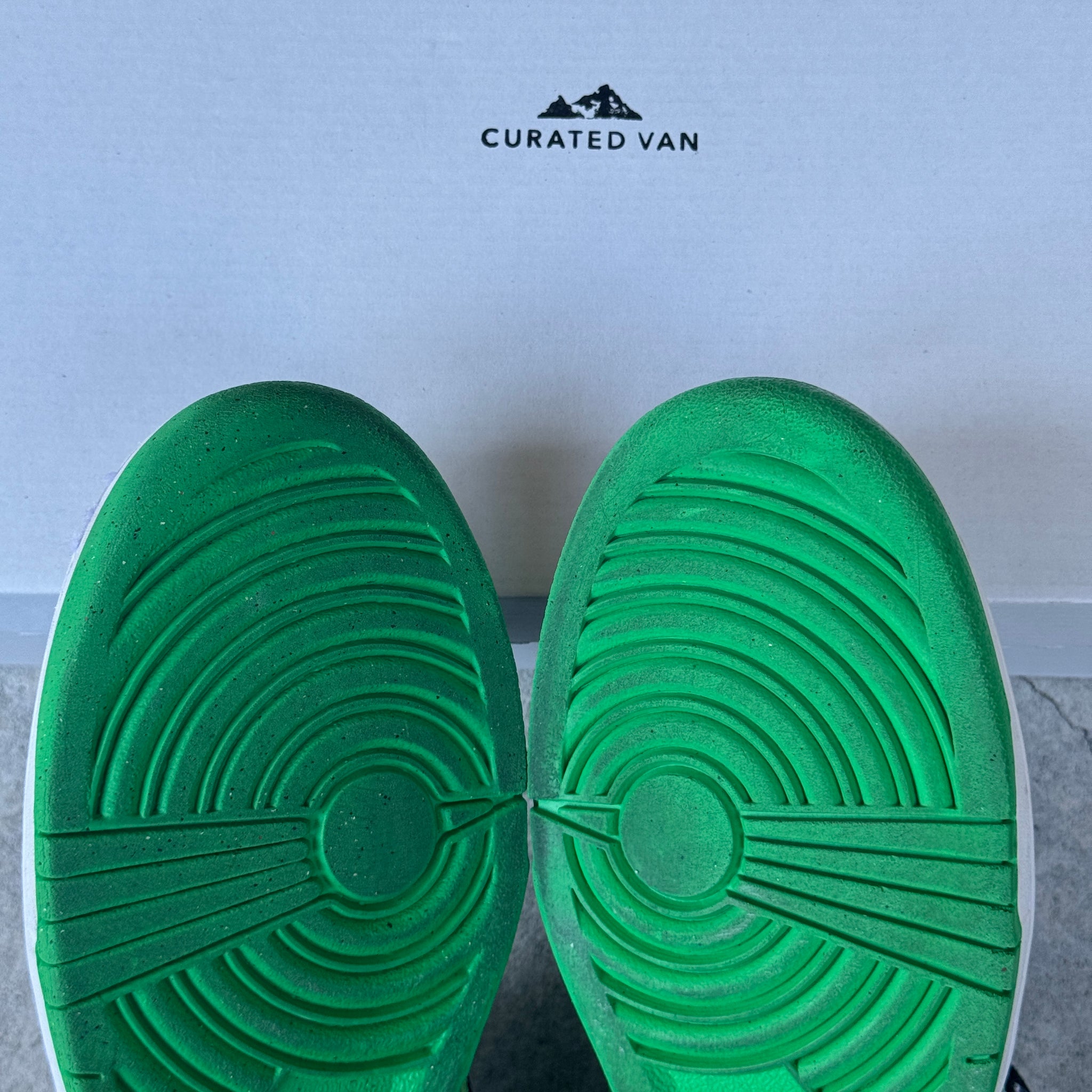 8.5 US - NIKE SB DUNK LOW LOON 2010