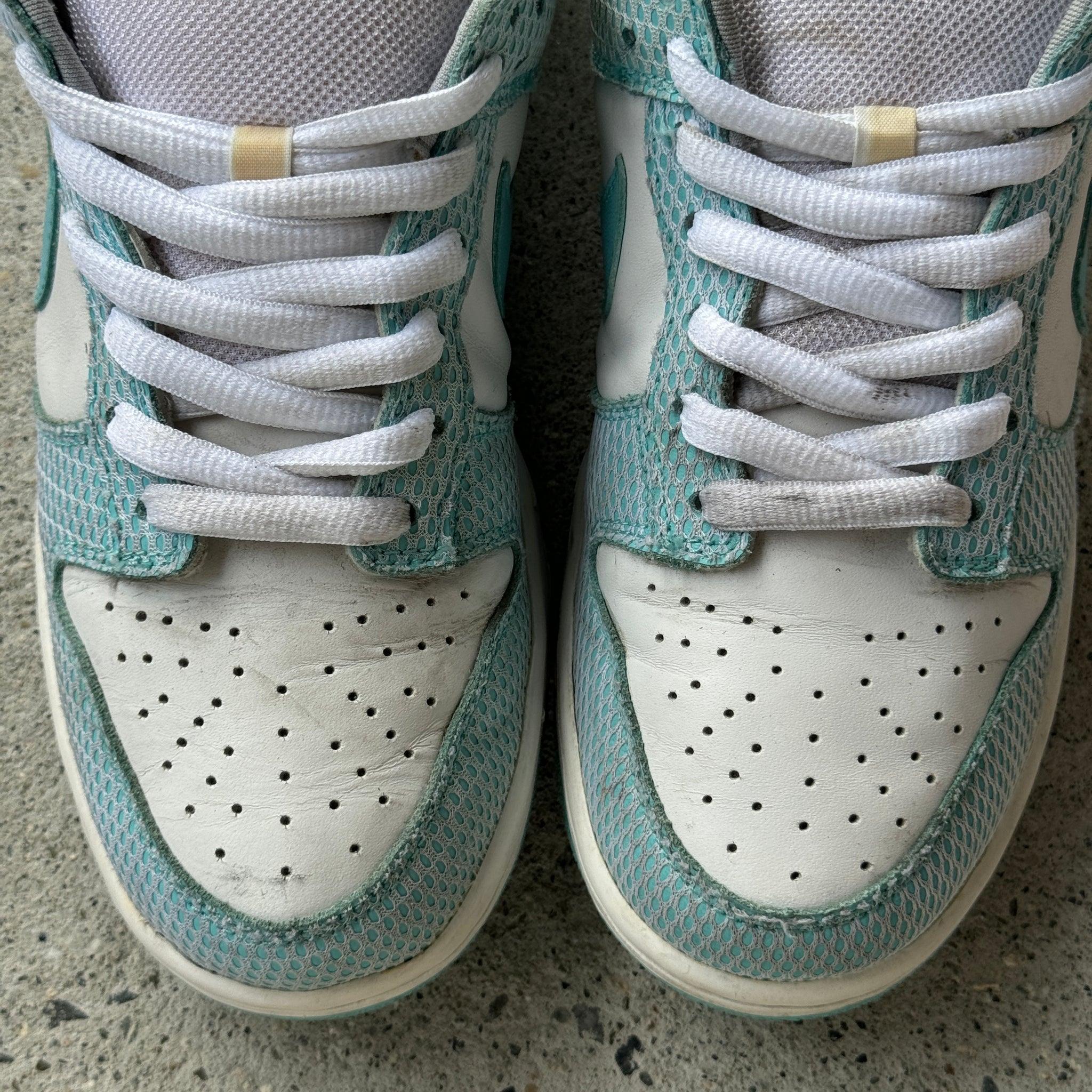 8 US - NIKE SB DUNK LOW HIGH HAIR 2006