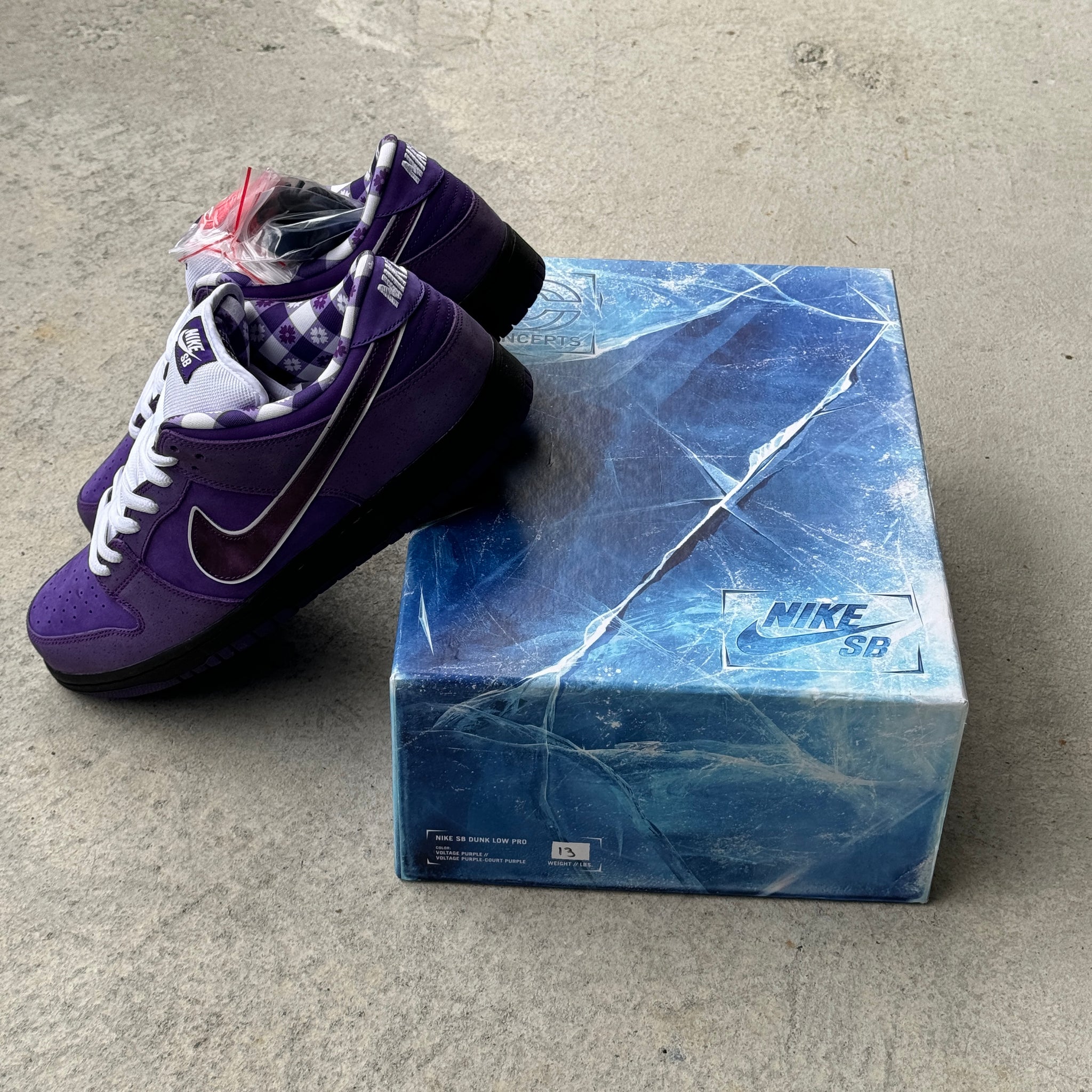 13 US - DS NIKE SB DUNK LOW PURPLE LOBSTER SPECIAL BOX 2018